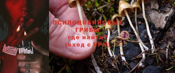 ешки Верея