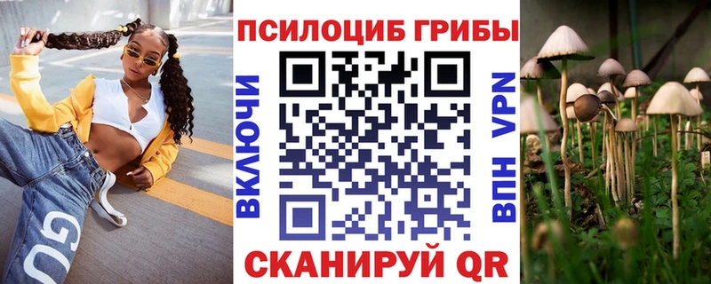 Псилоцибиновые грибы Psilocybine cubensis  Купить  Ядрин 